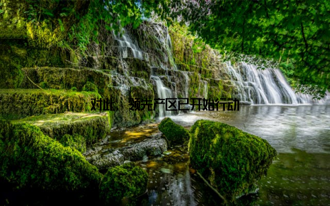 对此, 领先产区已开始行动