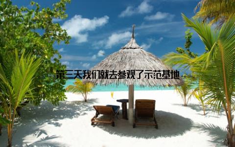 第三天我们就去参观了示范基地