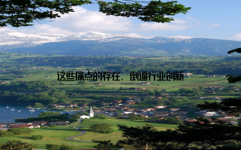 这些痛点的存在, 倒逼行业创新