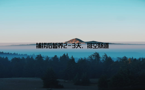 捕捞后暂养2-3天, 排空肠道