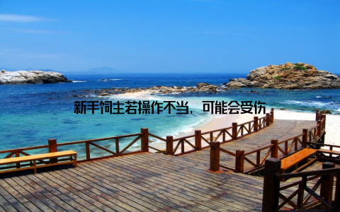 新手饲主若操作不当, 可能会受伤