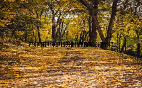 产业链延伸是提升附加值的关键举措