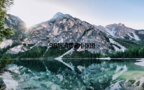 95后消费者小张说