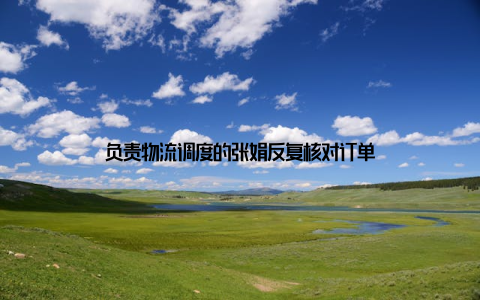 负责物流调度的张娟反复核对订单