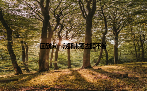 回到家, 我翻来覆去睡不着