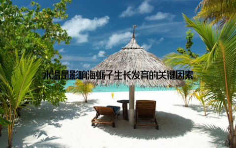 水温是影响海蛎子生长发育的关键因素