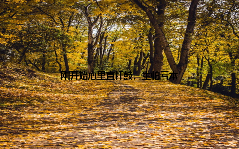 刚开始心里直打鼓, 生怕亏本