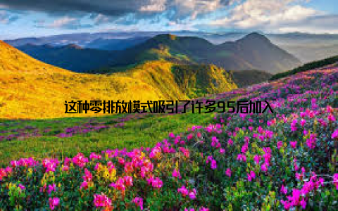 这种零排放模式吸引了许多95后加入