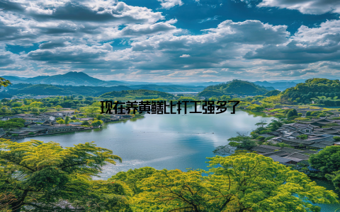 现在养黄鳝比打工强多了