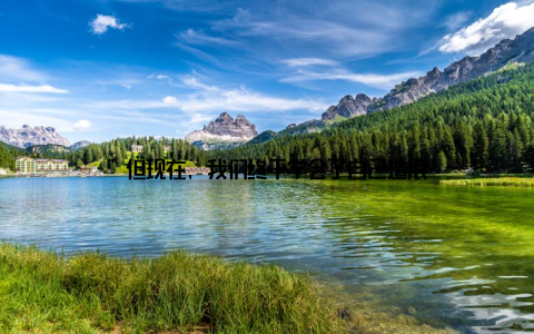 ”但现在, 我们终于学会了自己造浪
