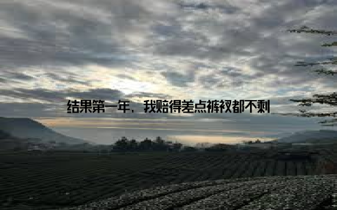 结果第一年, 我赔得差点裤衩都不剩