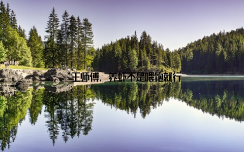 “王师傅, 养虾不是喂饱就行