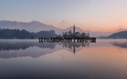 ” 这句话瞬间点燃了我的兴趣