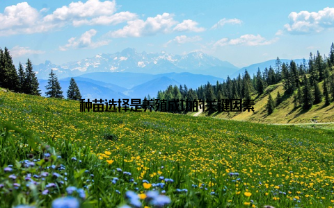 种苗选择是养殖成功的关键因素