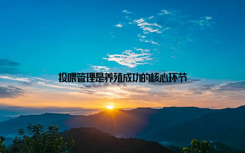 投喂管理是养殖成功的核心环节