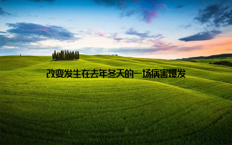改变发生在去年冬天的一场病害爆发