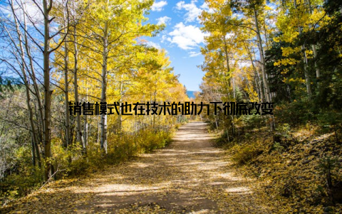 销售模式也在技术的助力下彻底改变