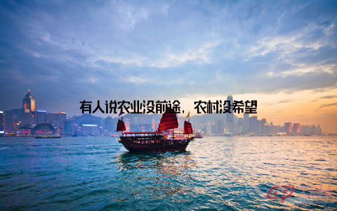 有人说农业没前途, 农村没希望