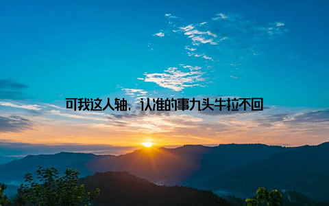 可我这人轴, 认准的事九头牛拉不回