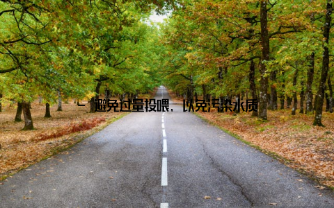 - 避免过量投喂, 以免污染水质