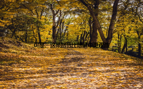 可是, 这条路远比想象中更艰难