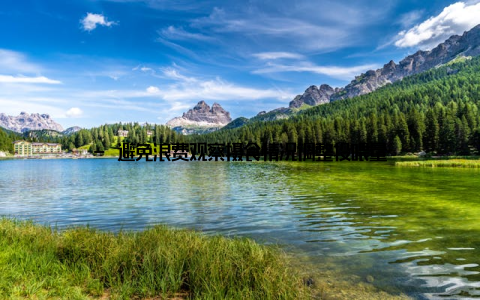 - 避免浪费观察摄食情况调整投喂量