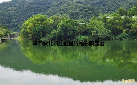 季节变化对红鲤鱼养殖影响显著