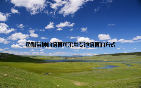 鱼鳅苗种的培育可采用专池培育的方式