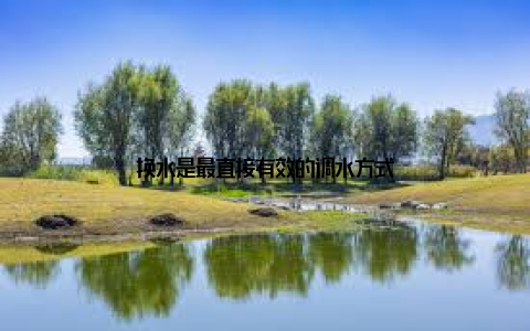 换水是最直接有效的调水方式