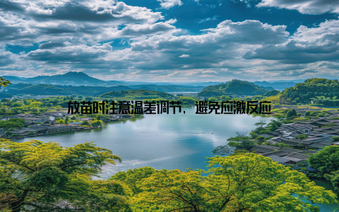 放苗时注意温差调节, 避免应激反应