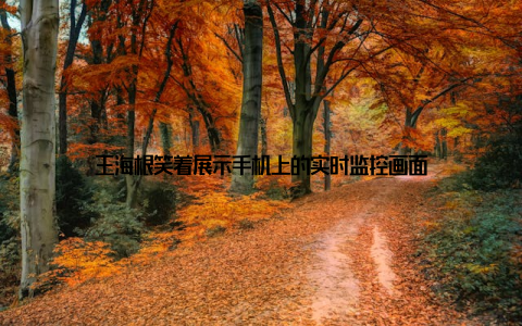 王海根笑着展示手机上的实时监控画面