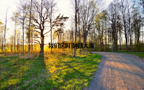 我们这叫'种植大海'