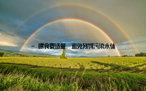 - 喂食要适量, 避免残饵污染水体