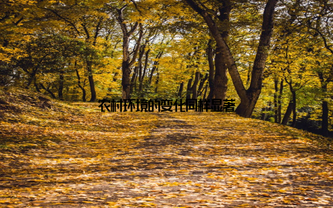 农村环境的变化同样显著