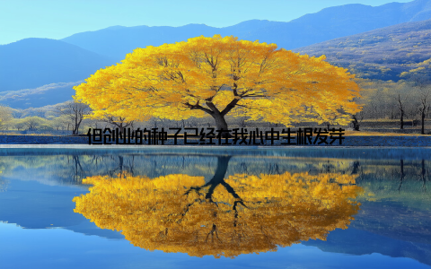 但创业的种子已经在我心中生根发芽