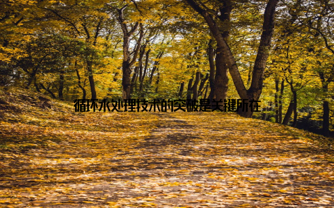 循环水处理技术的突破是关键所在