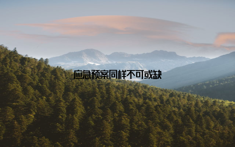 应急预案同样不可或缺