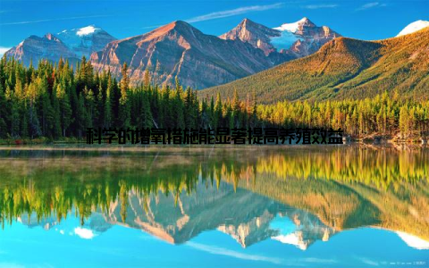 科学的增氧措施能显著提高养殖效益