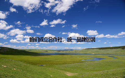 咱们成立合作社, 统一品牌包装