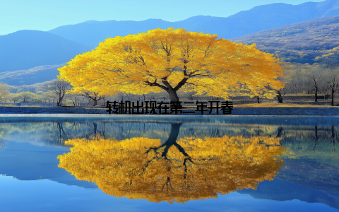 转机出现在第二年开春