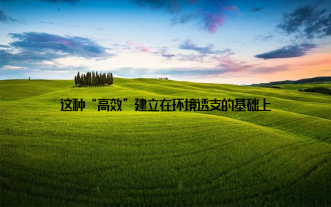 这种“高效”建立在环境透支的基础上