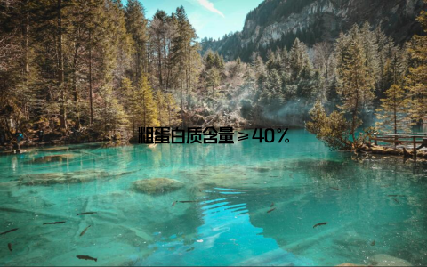 粗蛋白质含量≥40%