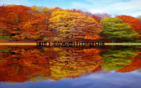 捕捞上来的蟹要经过严格分选