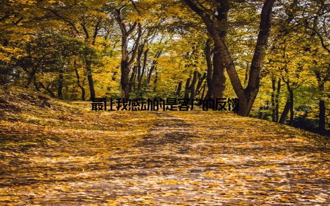 最让我感动的是客户的反馈