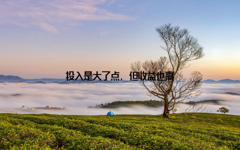 投入是大了点, 但收益也高